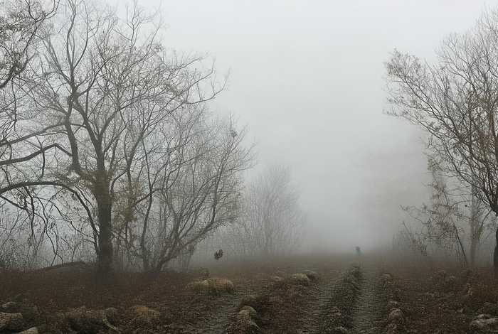 黄山易臣国际旅行社有限公司；黄山易臣国际旅行社有限公司怎么样