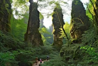 张家界旅行攻略森林公园 张家界旅行攻略森林公园游玩