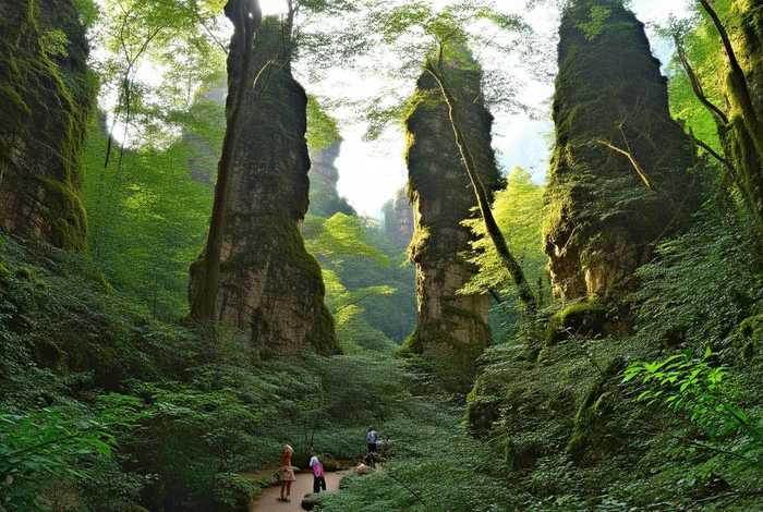 张家界旅行攻略森林公园 张家界旅行攻略森林公园游玩