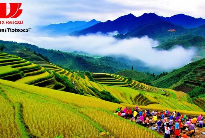 广西旅行社官网，广西中旅旅行社官网