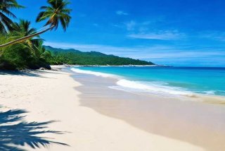 三亚旅行社诉游客不付团费 三亚旅行社诉游客不付团费怎么办