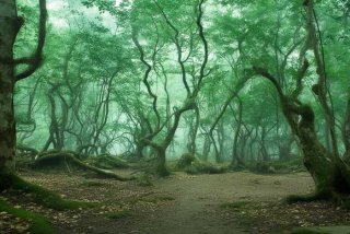 无锡旅行团购套餐推荐、无锡旅游套餐