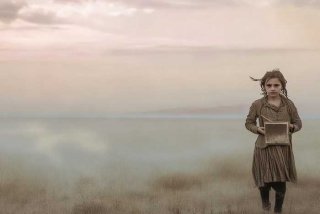 灰尘灰尘的旅行读后感 - 灰尘的旅行读后感五篇