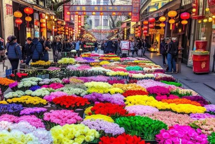 北京青年旅行社股份有限公司花市 - 北京青年旅行社股份有限公司花市营业部