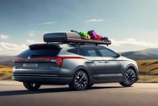 明锐旅行车加装车顶行李箱 明锐旅行车加装车顶行李箱图片