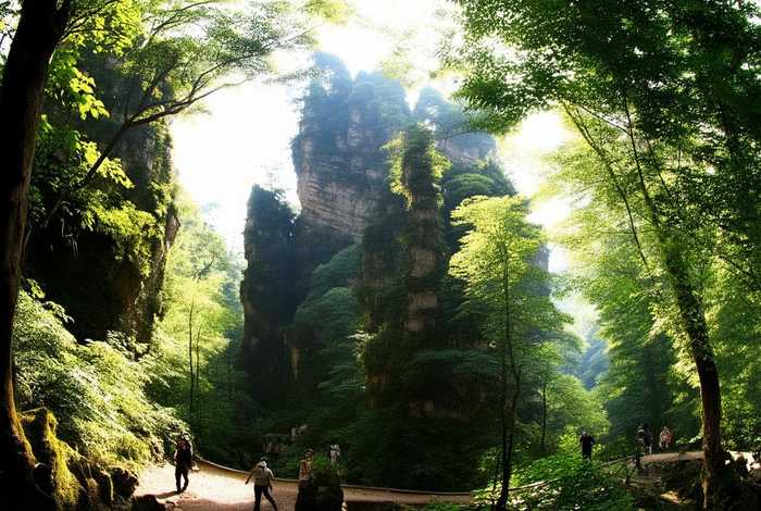 张家界旅行攻略森林公园 张家界旅行攻略森林公园游玩