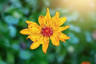 三亚旅行游记，三亚旅游攻略自由行记