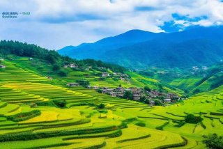 贵州旅行社官网（贵州中国青年旅行社官网首页）