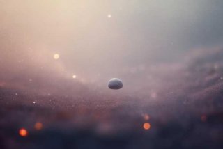 灰尘的旅行读后感想；灰尘的旅行读后感想简短