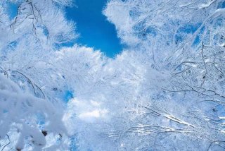 成都旅行唯美短句（成都旅行唯美短句文案）