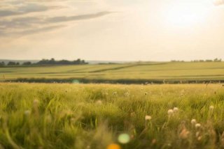 稻草人旅行家原文、稻草人旅行家原文阅读