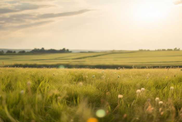 稻草人旅行家原文、稻草人旅行家原文阅读