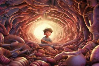 在牛肚子里旅行课文原文电子版 《在牛肚子里旅行》课文原文