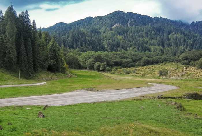 青海口碑最好的旅行社（青海口碑最好的旅行社排名）