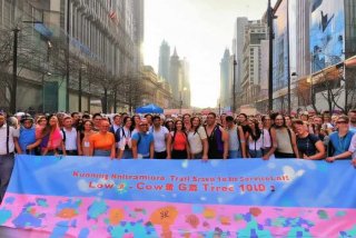 昆明国际旅行社有限公司低价游；昆明旅行社(国际)有限公司