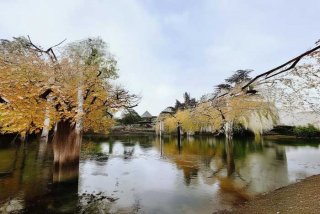 旅行蛙仔是什么（旅行蛙仔是什么游戏）