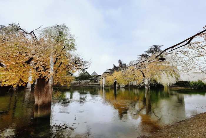 旅行蛙仔是什么（旅行蛙仔是什么游戏）