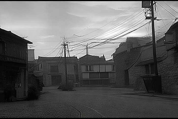 沈阳旅行社协会（沈阳旅行社协会官网）