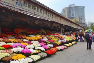 北京青年旅行社股份有限公司花市营业部；北京青年旅行社股份有限公司电话