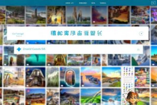 飞猪旅行网官网，飞猪旅行官网网址