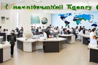 国际旅行社旅游 国际旅行社旅游有限公司招聘