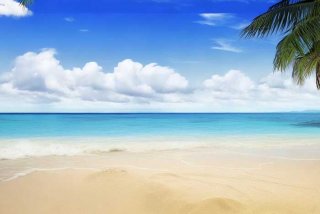 三亚旅行社推荐、三亚旅行社推荐的旅租