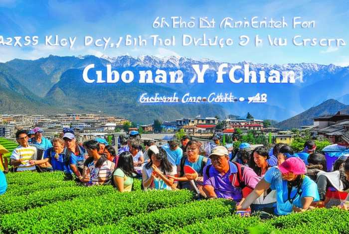 云南旅行团成员、云南旅行团成员方