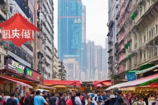 中青旅旅行社官网重庆，中青旅旅行社官网重庆分公司