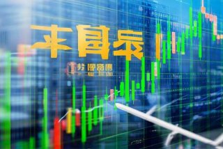 飞扬旅行社股票（飞扬旅行社股票代码）