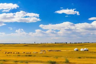 内蒙古旅行社官网，内蒙古国旅旅行社官网