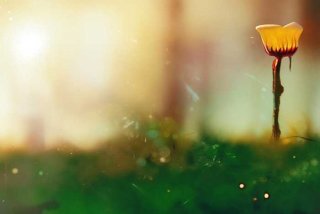 稻草人旅行家主要内容，稻草人旅行家主要内容概括50字