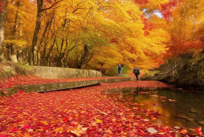 秋季旅行的句子唯美短句 秋季旅行的句子唯美短句简短