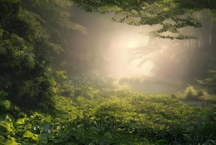 丽江旅行社被处理结果，丽江旅行社被处理结果怎么样