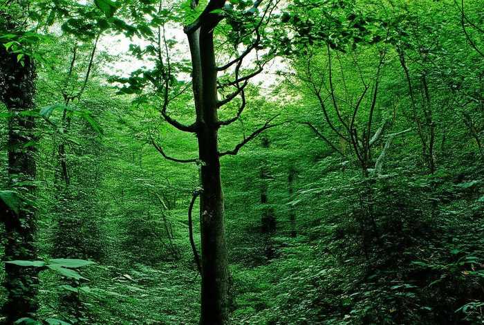 丽江旅行社排名前十名 丽江旅行社排名前十名有哪些