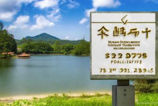 湖南海外旅行社投诉电话（湖南海外旅行社投诉电话查询）