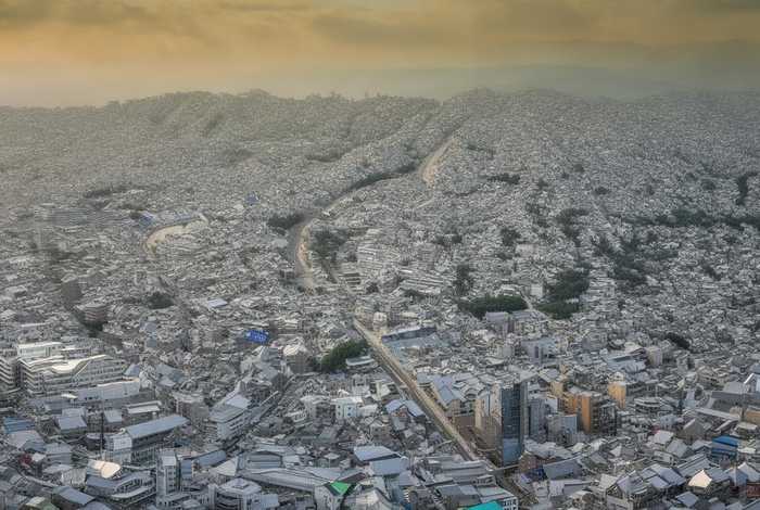 稻草人旅行家读后感，稻草人旅行家读后感20字左右