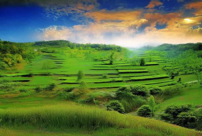 沂蒙红色研学旅行作文，沂蒙红色旅游研学报告