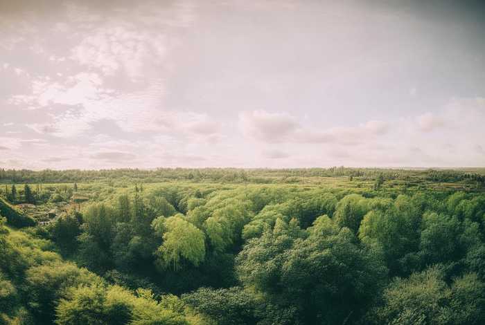内蒙古旅行社哪家口碑好、内蒙古旅行社哪家口碑好一点