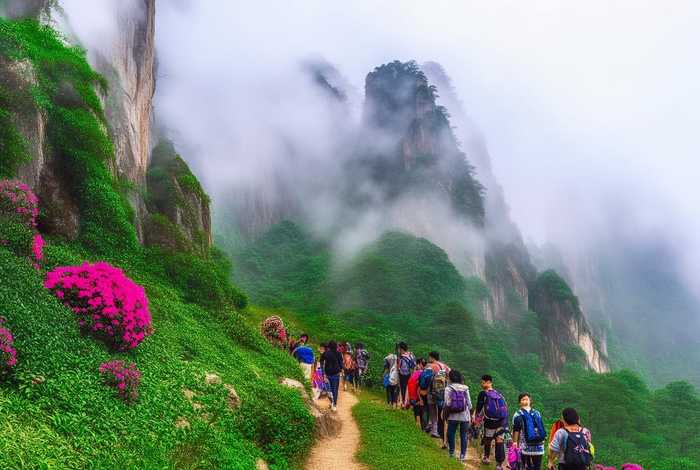 庐山旅行社推荐 庐山旅行社推荐旅游 庐山旅行社推荐 庐山旅行社推荐旅游