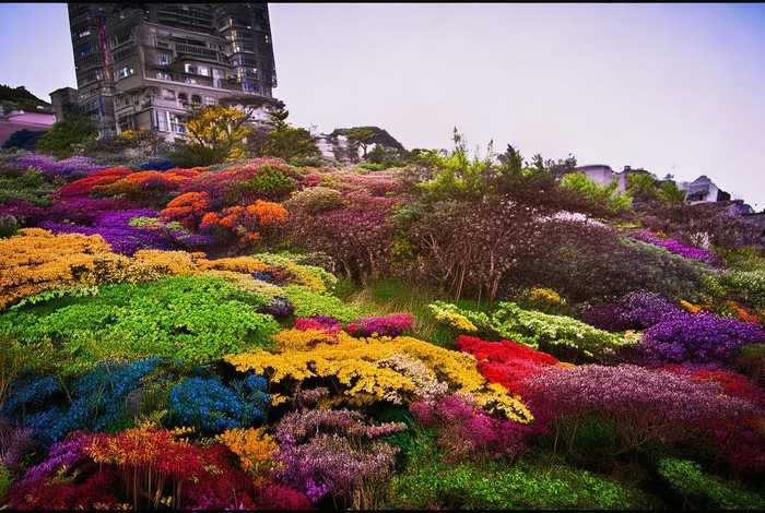 福州旅行社旅游线路、福州旅行社旅游线路推荐 福州旅行社旅游线路、福州旅行社旅游线路推荐