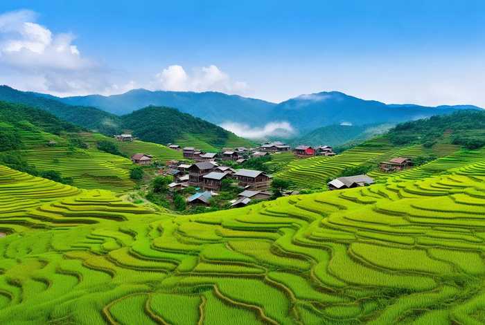 贵州旅行社官网（贵州中国青年旅行社官网首页）