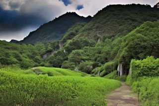 丽江旅行社联系方式及价格表（丽江正牌旅行社联系方式）