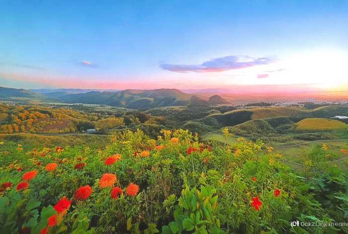 成都旅行社报价（成都旅行社报价内蒙呼伦贝尔及路线）