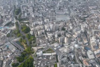 旅行社条例特征（旅行社条例特征有哪些）