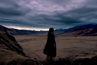 西藏旅行社黑榜最新；西藏旅行社黑榜最新情况