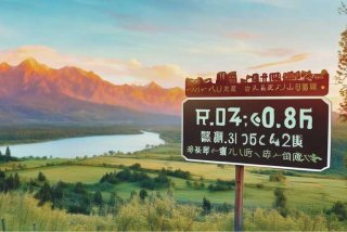 山水旅行社电话 - 山水旅行社电话号码是多少