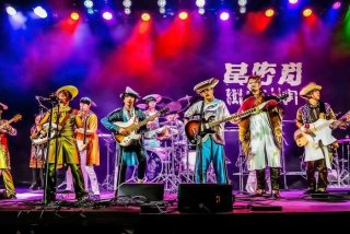 旅行团乐队组合（旅行团乐队组合叫什么）