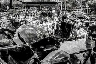 尼尔斯骑鹅旅行记读后感 - 尼尔斯骑鹅旅行记读后感300字左右从中获得的感悟