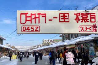 哈尔滨旅行社电话号码多少，哈尔滨旅行社电话号码多少号