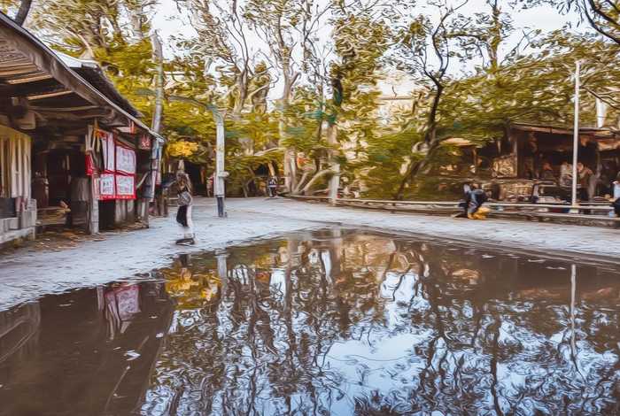 骑鹅旅行记梗概500字以上（骑鹅旅行记梗概500字以上六年级）